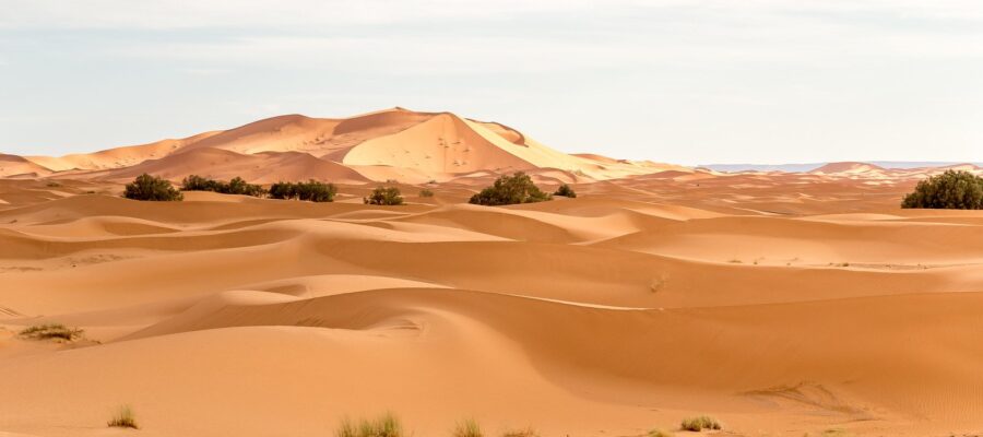 marrakech to fes desert tour